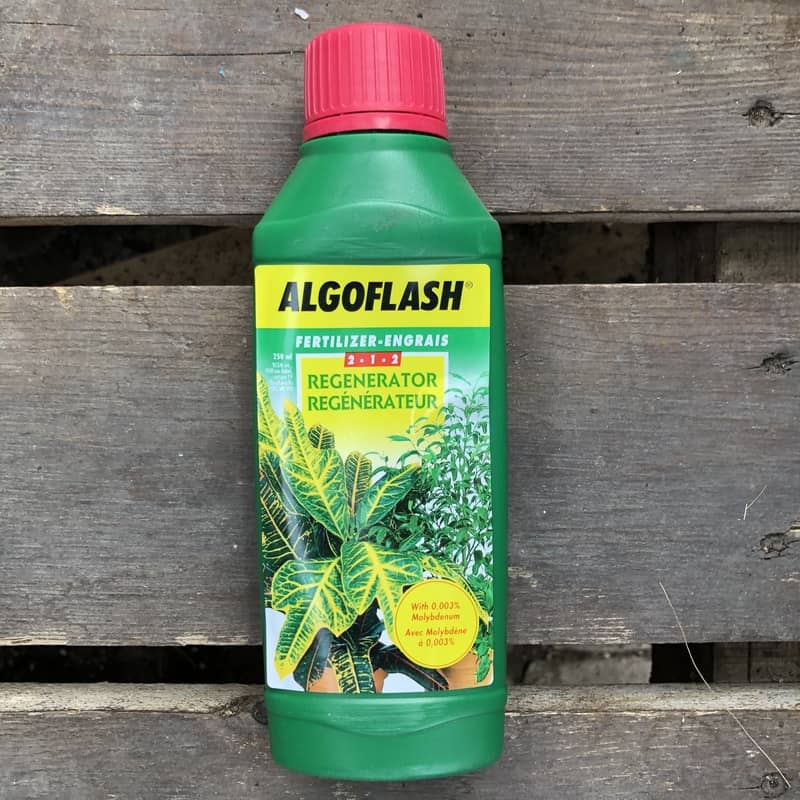 Algoflash - Engrais Orchidées 250 ml